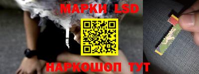 дмт Долгопрудный