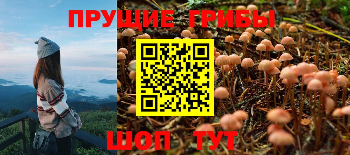 Псилоцибиновые грибы мицелий Воткинск